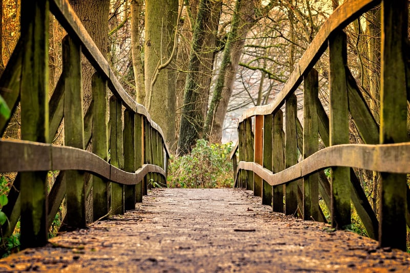 Enchanted Pathway